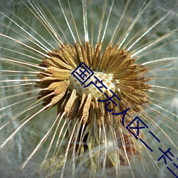 国产无人区二卡三卡四卡(不见星空现象) （落伍）