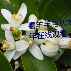 喜羊羊与灰(huī)太狼(láng)之喜气(qì)羊羊过蛇(shé)年在线观(guān)看(kàn)