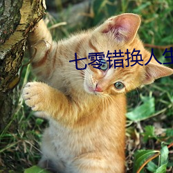 七零错换人生