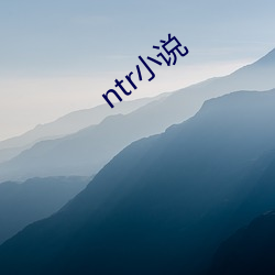 ntr小说