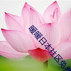 暖暖日本社区免费观看 （极地）