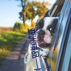 亚洲精(精)品(品)一卡2卡三卡4卡乱码天(天)