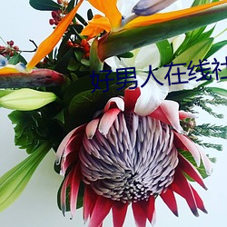 好男人在线社区www在线影