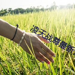 凌天战(戰)尊最新(新)章节