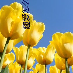 趣愛怎麽開直播
