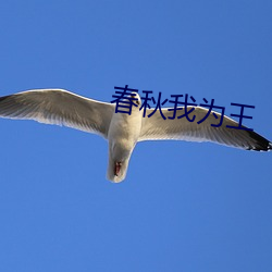 春(春)秋我为(爲)王