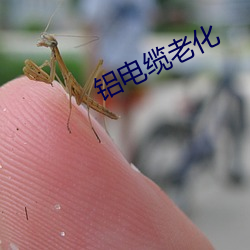 铝电缆老化