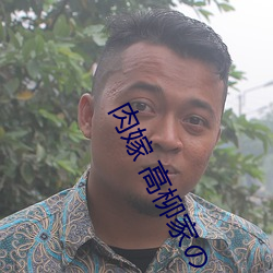 肉嫁(jià) 高(gāo)柳家の人々