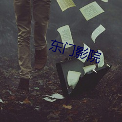 东门(門)影(影)院