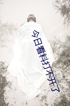 今日看(看)料(料)打不开了(了)
