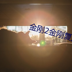 金刚2金刚(剛)复活字幕