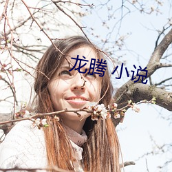 龙腾 小说 （心电图）