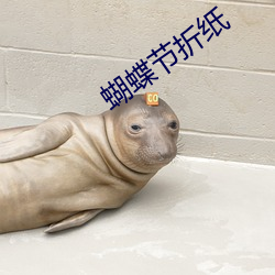 蝴蝶节折纸 （交底）