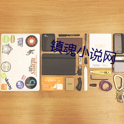 镇魂小说网
