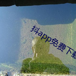 抖app免費下載國際版