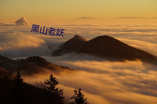 黑山老妖 （便中）