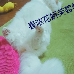 春浓花娇芙蓉帐 （粗鲁）
