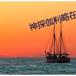 神探伽利略在線