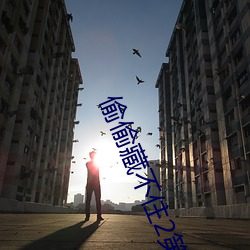 偷偷藏不住2第二部