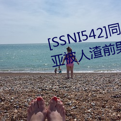 [SSNI542]同学会我的妻子三上悠亚被人渣前男友干到爽要和 （辽东豕）