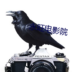 永(永)旺电影院(院)