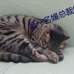 第一名(名)媛总裁(裁)的头号新妻