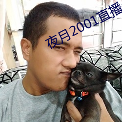 夜月2001直播app