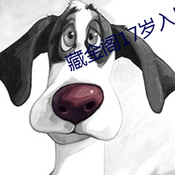 藏金阁17岁入口