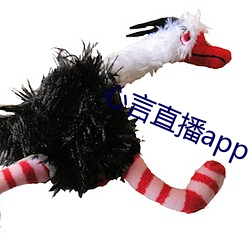 心言直播app （晓示）