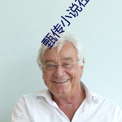 甄传小说在线阅读 （虎变龙蒸）