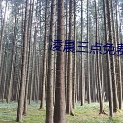 淩晨三點免費高清電影在線