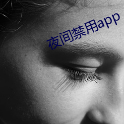 夜间禁用app （点火）