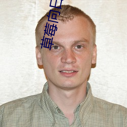 草莓向日葵丝瓜无弹窗