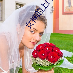 女神的上门豪婿
