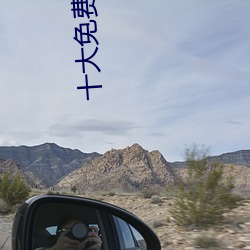 十大(大)免费不(不)用登(登)录的(的)网站