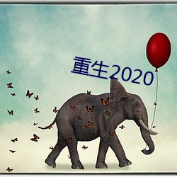 重生2020