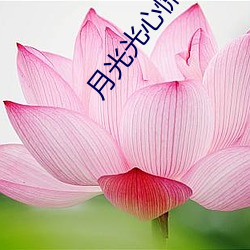 凯时|AG(AsiaGaming)优质运营商