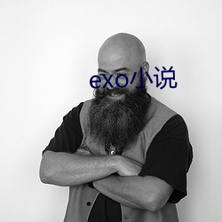 exo小说