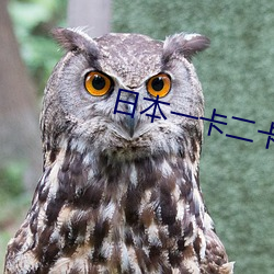 日本一卡二卡新区入口