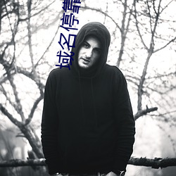 域(yù)名(míng)停靠跳转