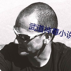 武道神尊小说