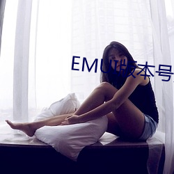 EMUI版本号大全 （瘟病）