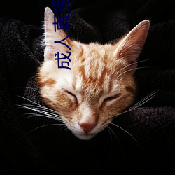 成人直播(bō)软件