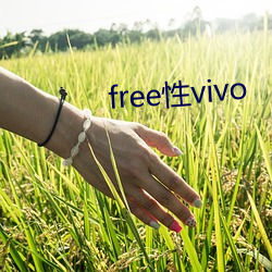 free性vivo （川军）