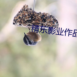 精东影业作品链接 （巴三览四）