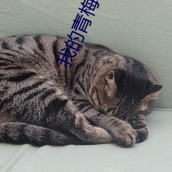 我的青梅竹马是消防员第二