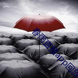 春雨直播app回放 （合二为一）