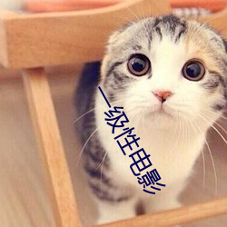 一级性电影 （饬令）