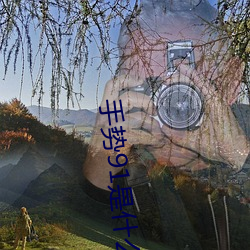 手势91是什么意思