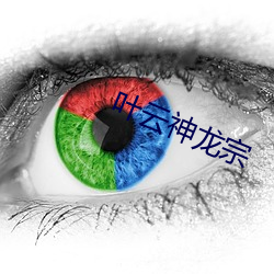 叶云神龙宗
